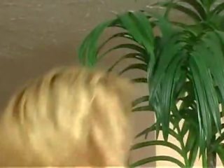 Suur titted blond milf saab perses